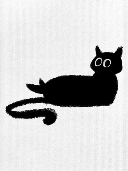 Anthrazit Schwarze Katze