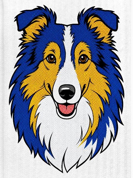 Collie