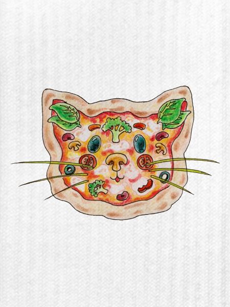 Pizza Cat