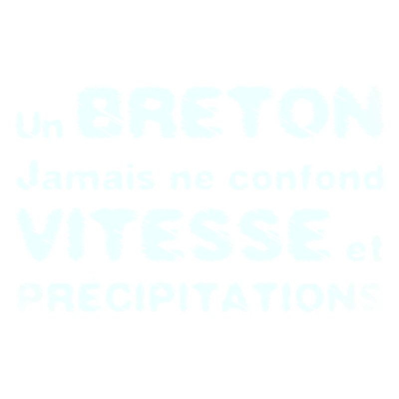 A BRETON DOES NOT CONFUSE SPEED WITH PRECIPITATION