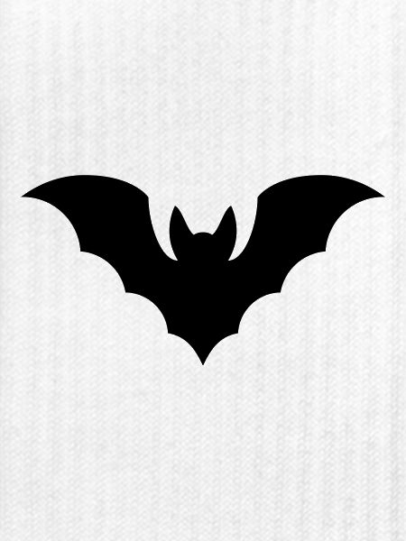 Fledermaus