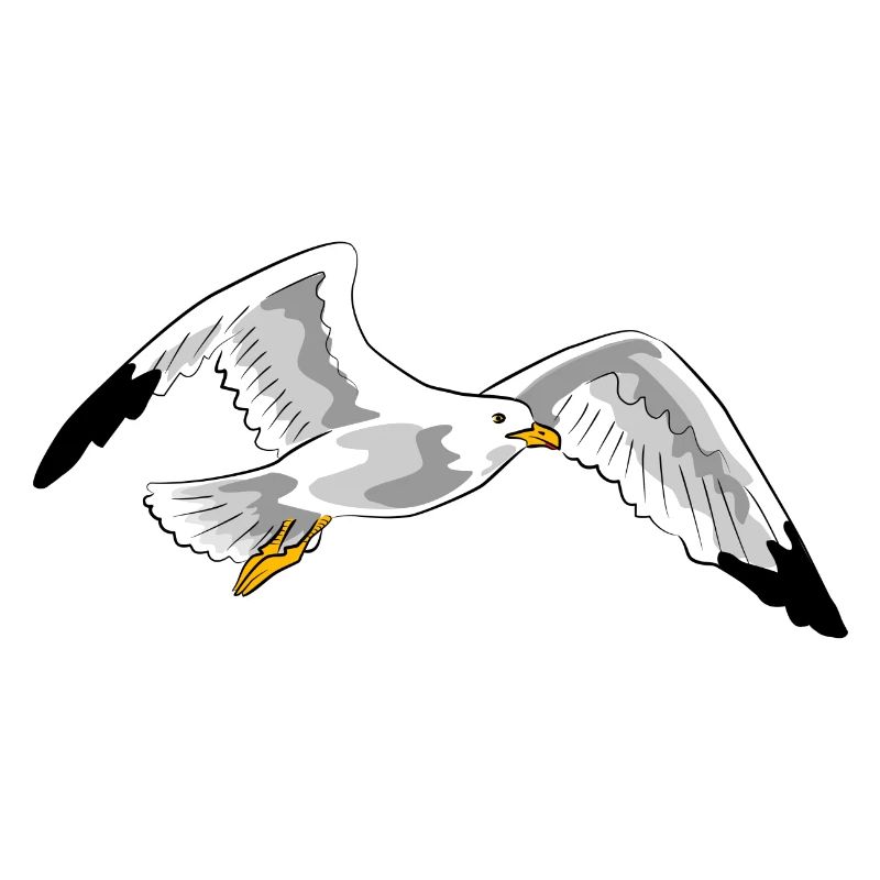gull
