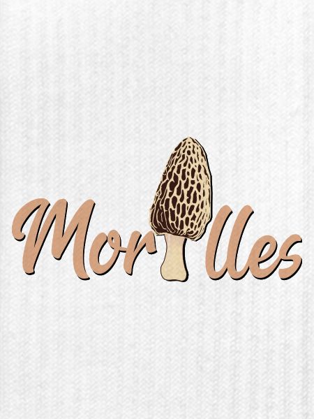 Morcheln