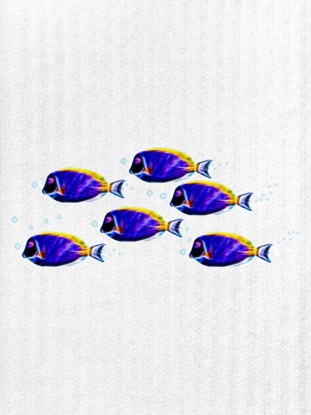 Doktorfisch (07)