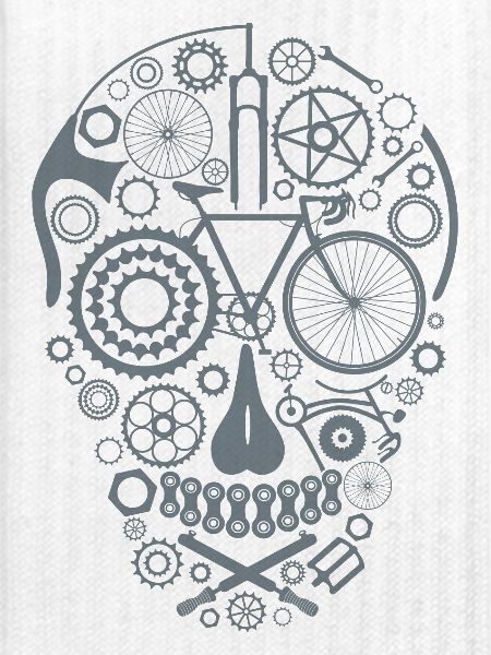 Bicycle Skull grey