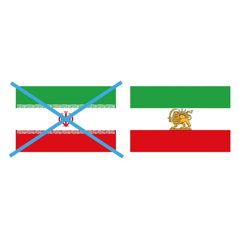 Smashed Iran flags