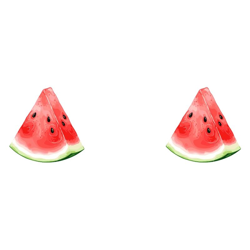 Pastèque pastèque 