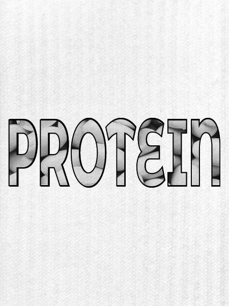 Protein Bohnen