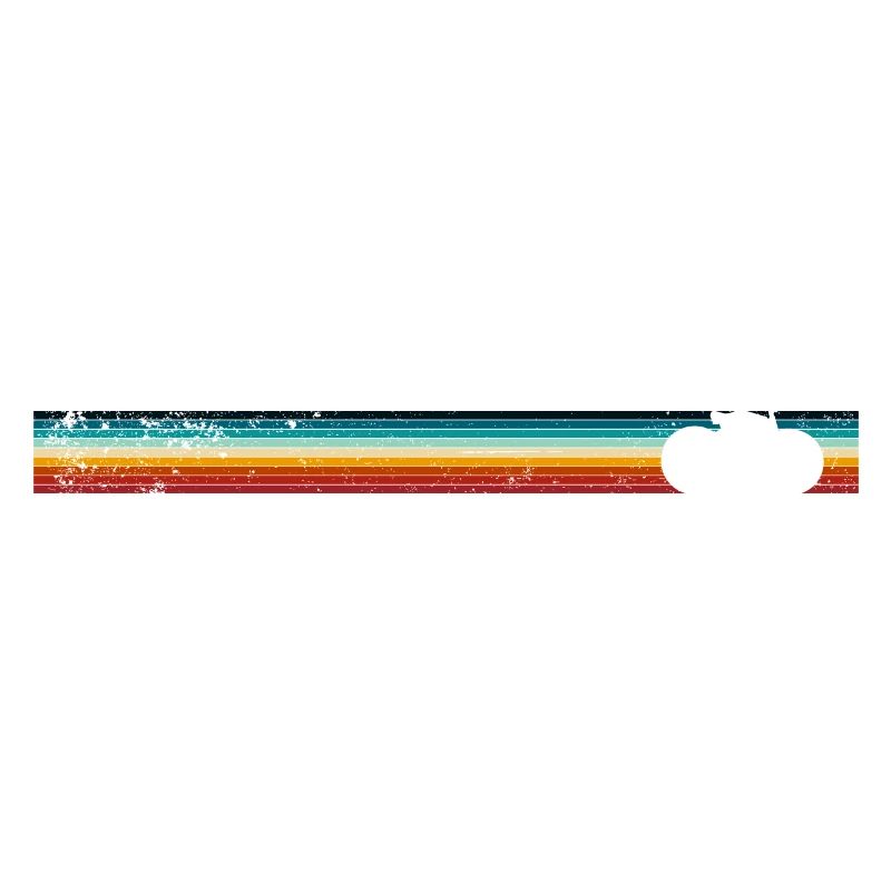 Rainbow Stripe Bicycle Design