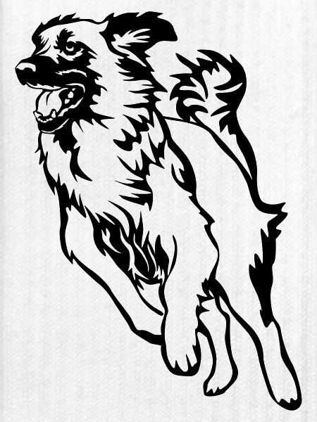 Leonberger