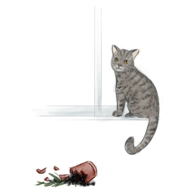 Moonlit tabby and fallen rose