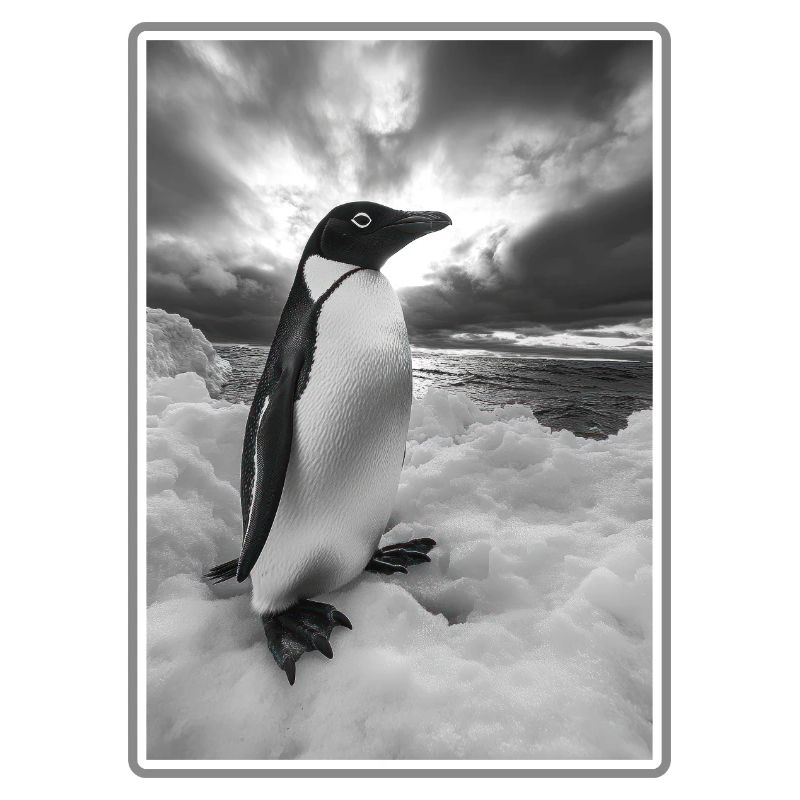 Penguins Penguin