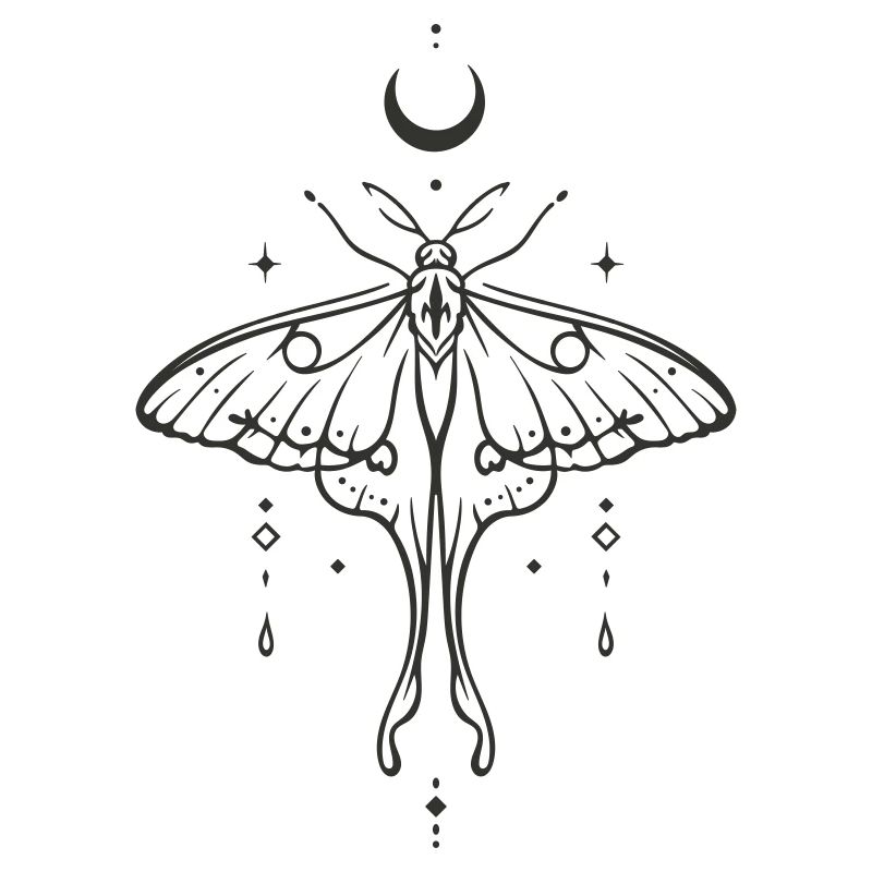 Luna Moth with Moon – Mystical Night Moth