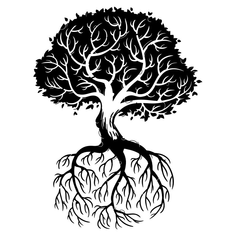 Roots
