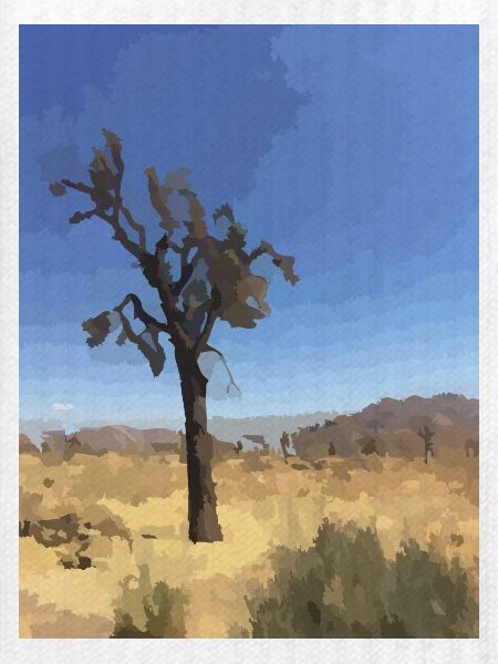 Joshua Tree