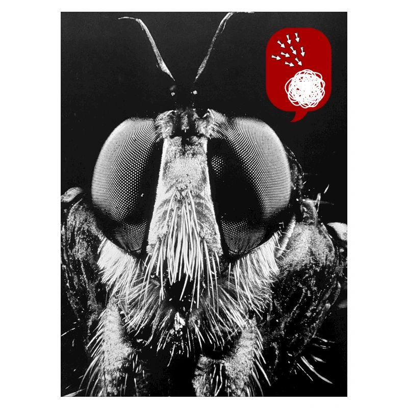 Bug off