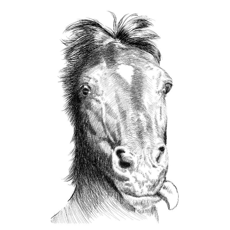 Pferd