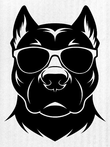 Pitbull-Sonnenbrille