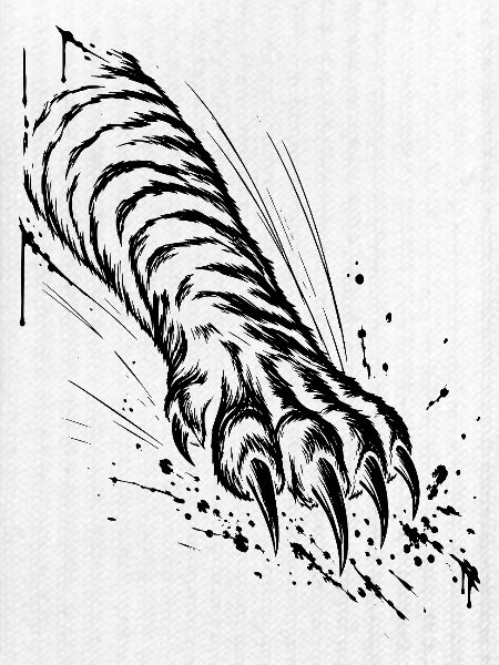 Tiger Pfote