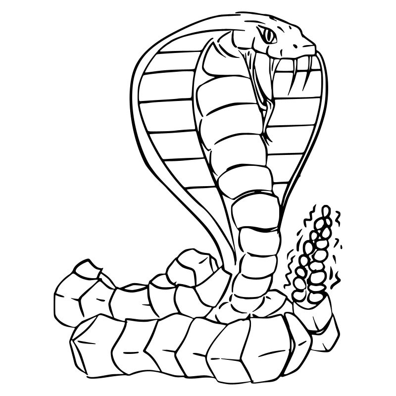 Cobra Vector