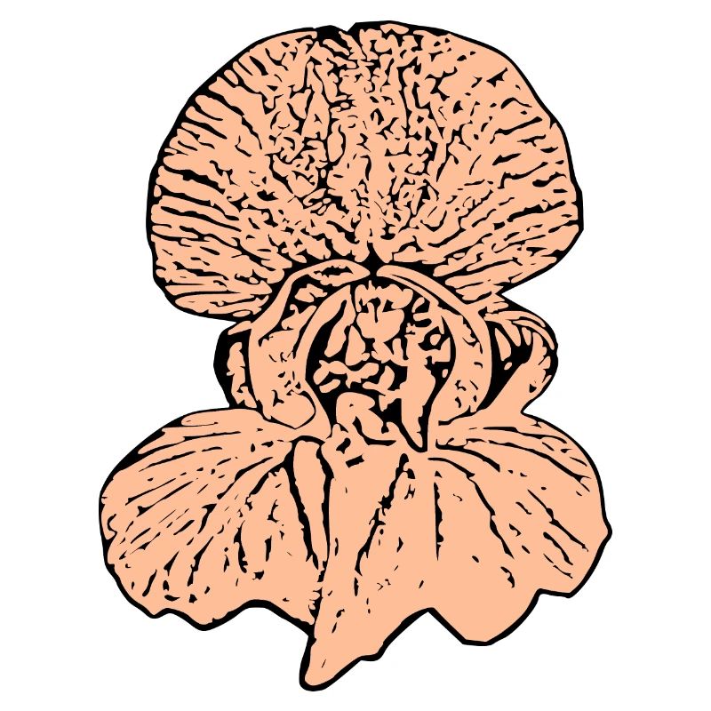 Muttertags Geschenk Mutter Muttertag Geschenkidee 