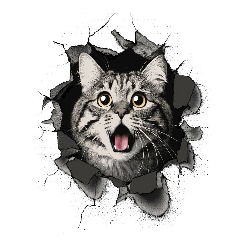 Cat Scared Wall Breakthrough Cracks