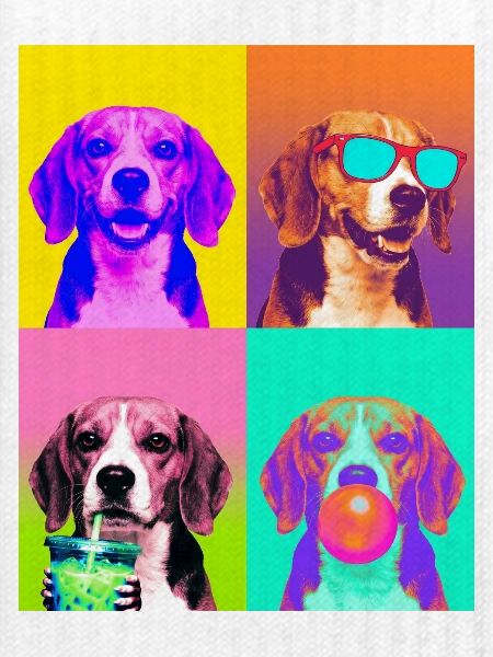 Hunde Beagle Hund