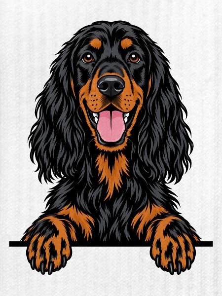 Gordon Setter