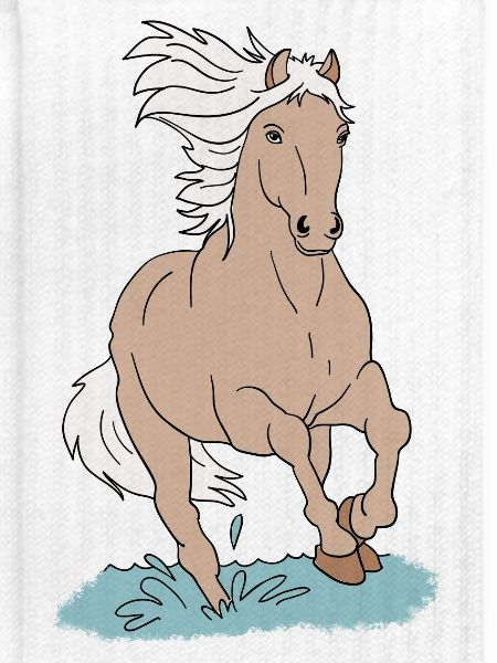 Pferd Pferde