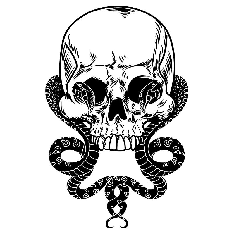 Skull with two snakes