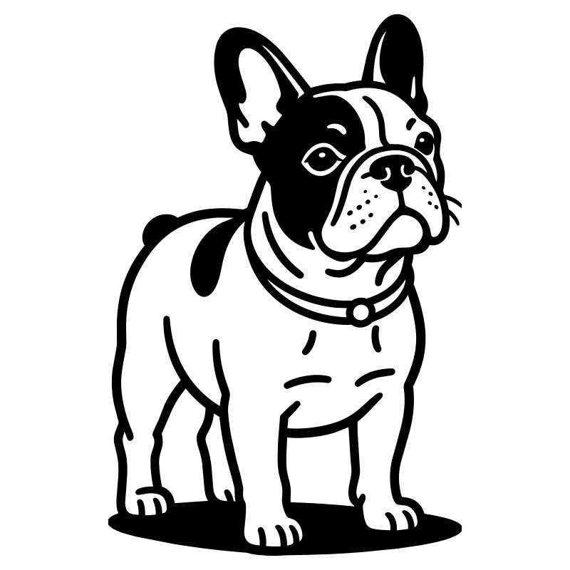 Bouledogue français