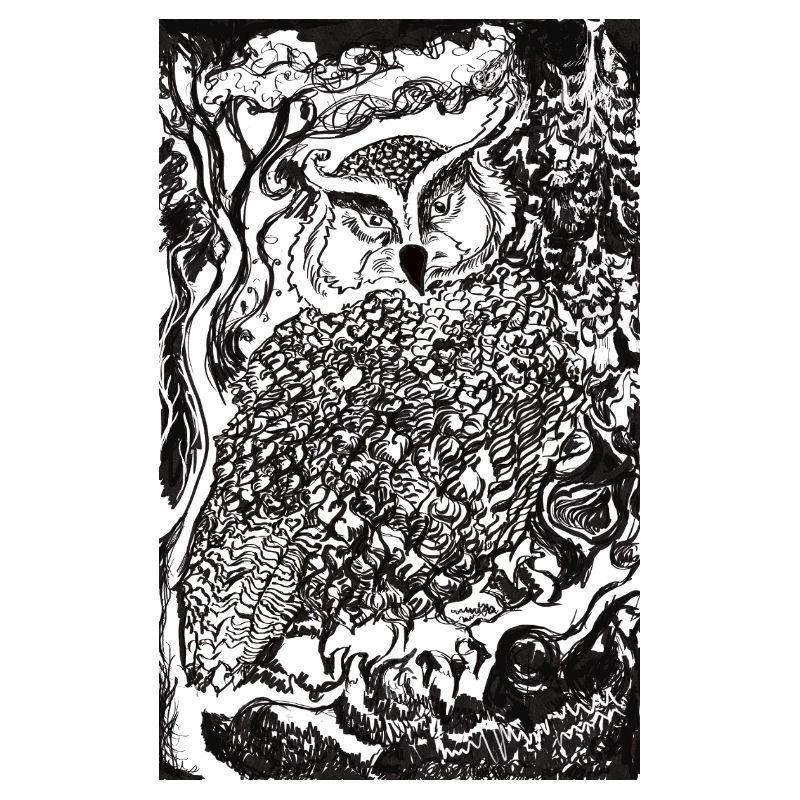 Nachtwald Eulenillustration
