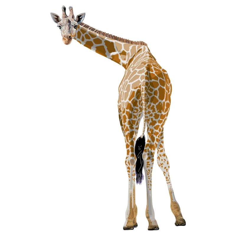 Giraffe grüßt aus der Savanne