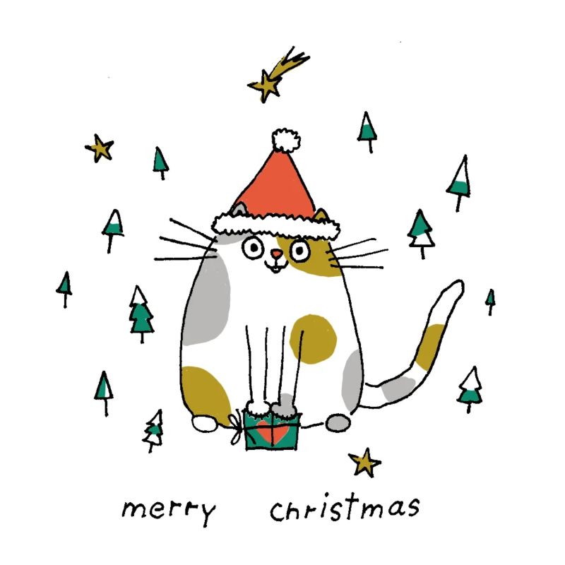 Chat de Noël