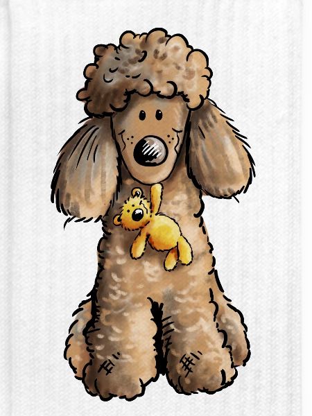 Pudel mit Teddy