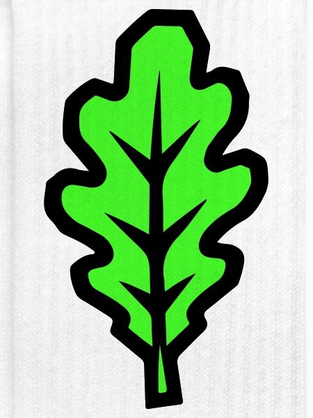 Eichenblatt Blatt Symbol