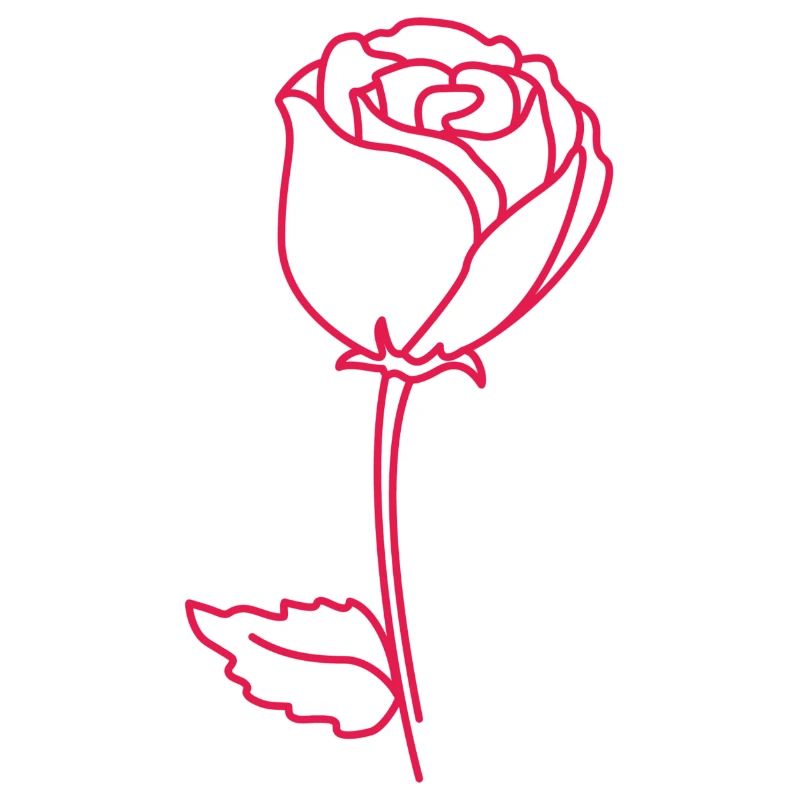 Rosenumriss Neonpink
