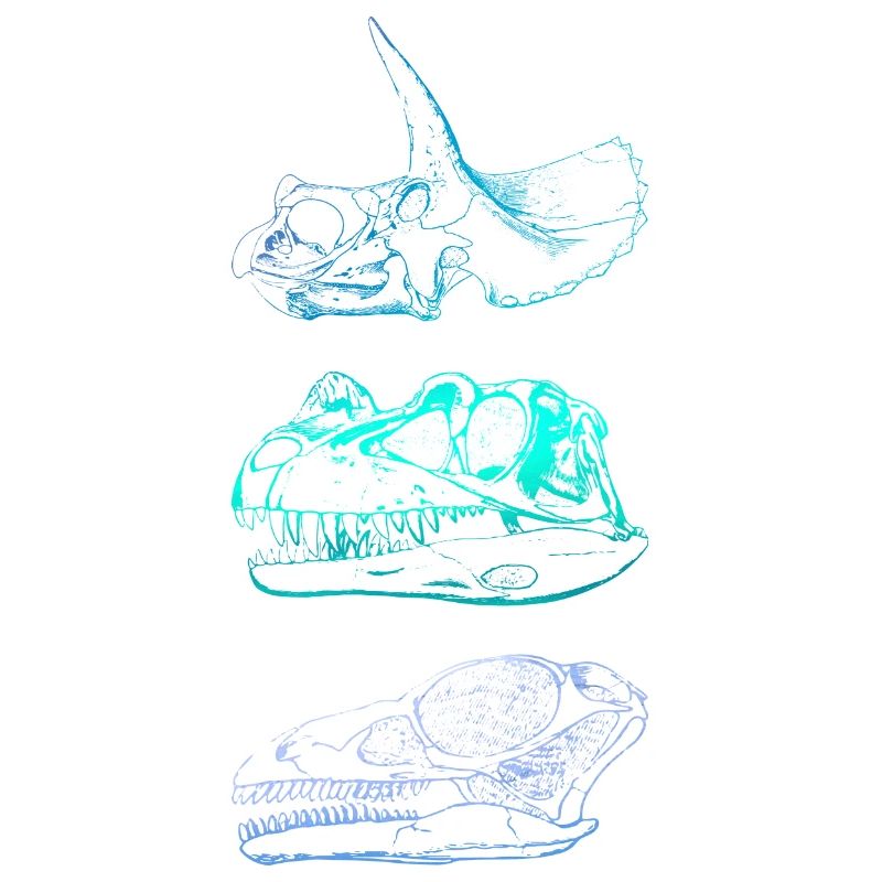 Dinosaur Skulls