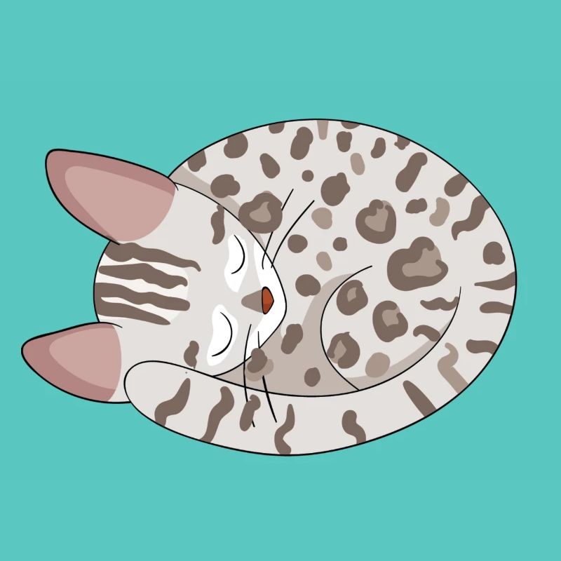 Chat de Bengale Chat