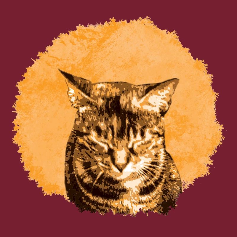 Portrait de chat drôle avec orange chaud