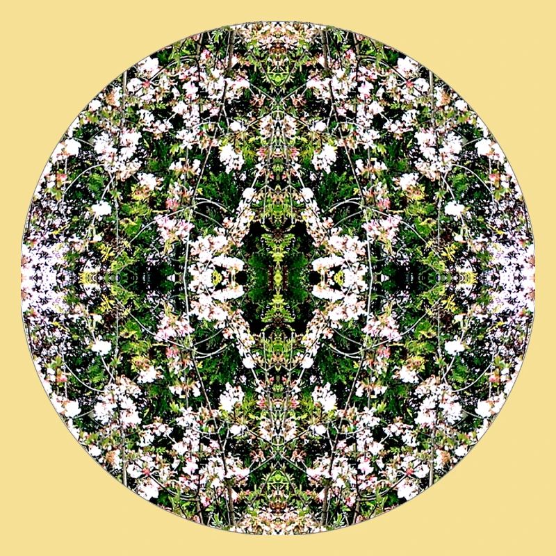 Source du Mandala de la Nature à Nuremberg