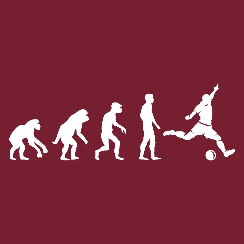 Football Evolution Monkey Funny Designs Fan Logo