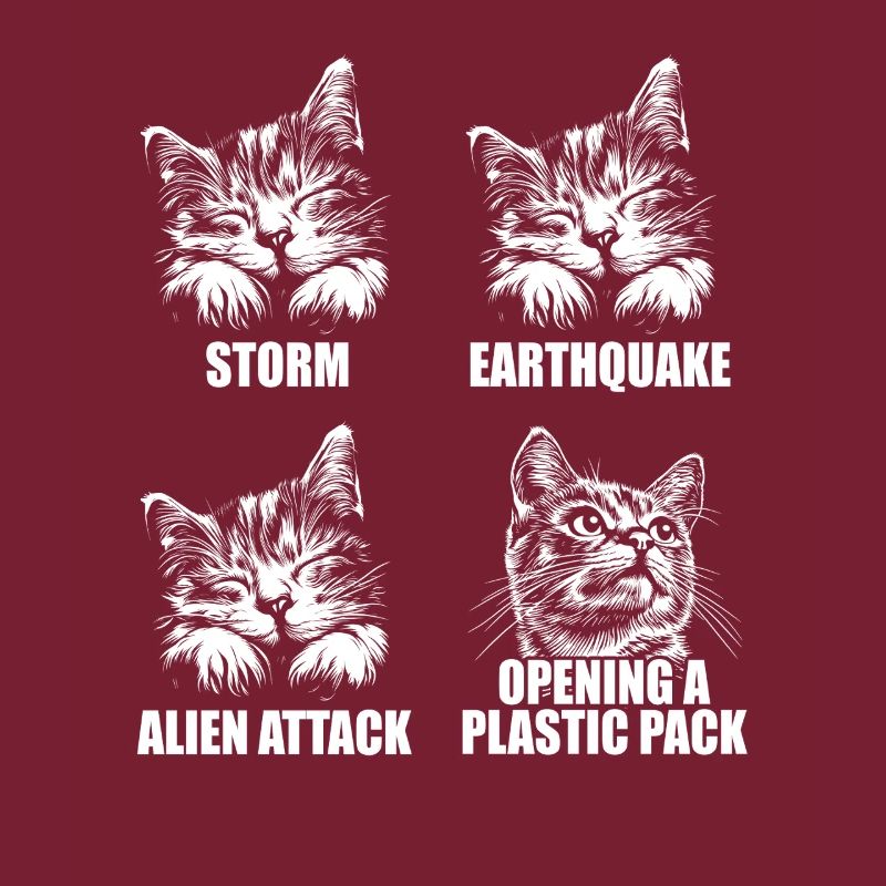 Chat - perception sélective - dire