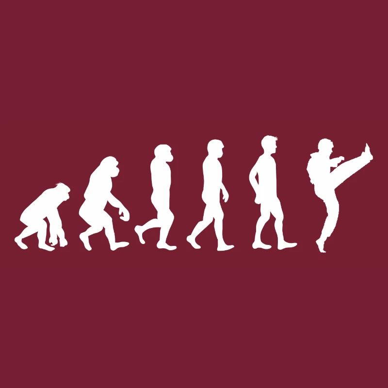 Evolution Karate