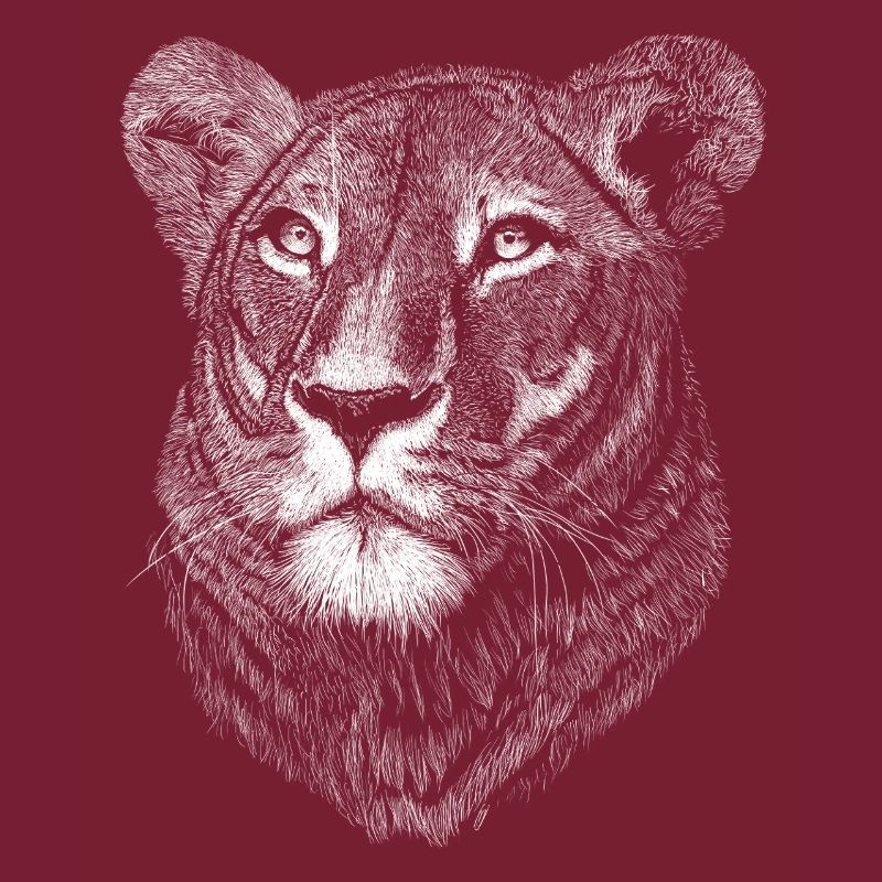 Lioness
