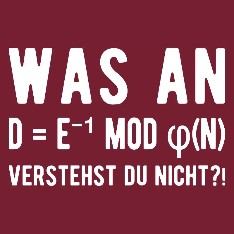 Computer Scientist Computer Science Student Programmer