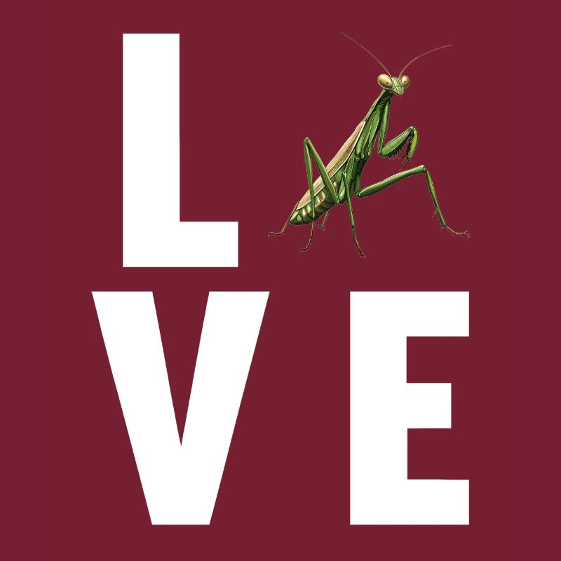 Praying mantises Praying mantis