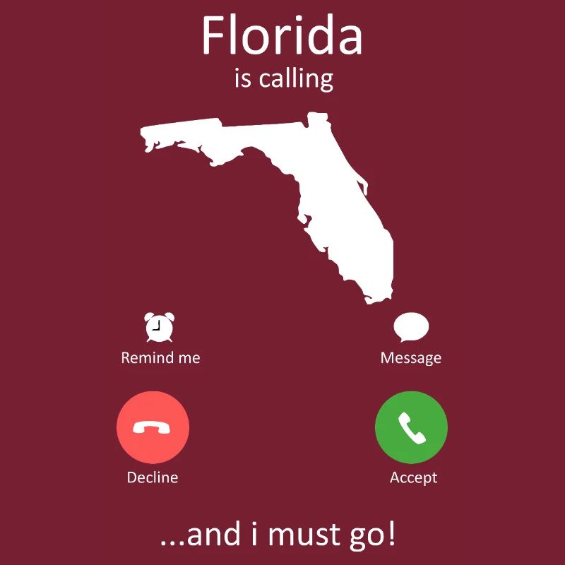 Florida Calling und I Must Go Phone Interface-Kunst