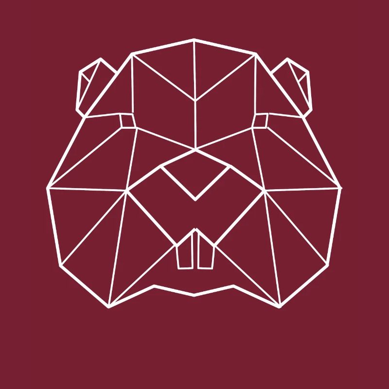 Beaver polygon