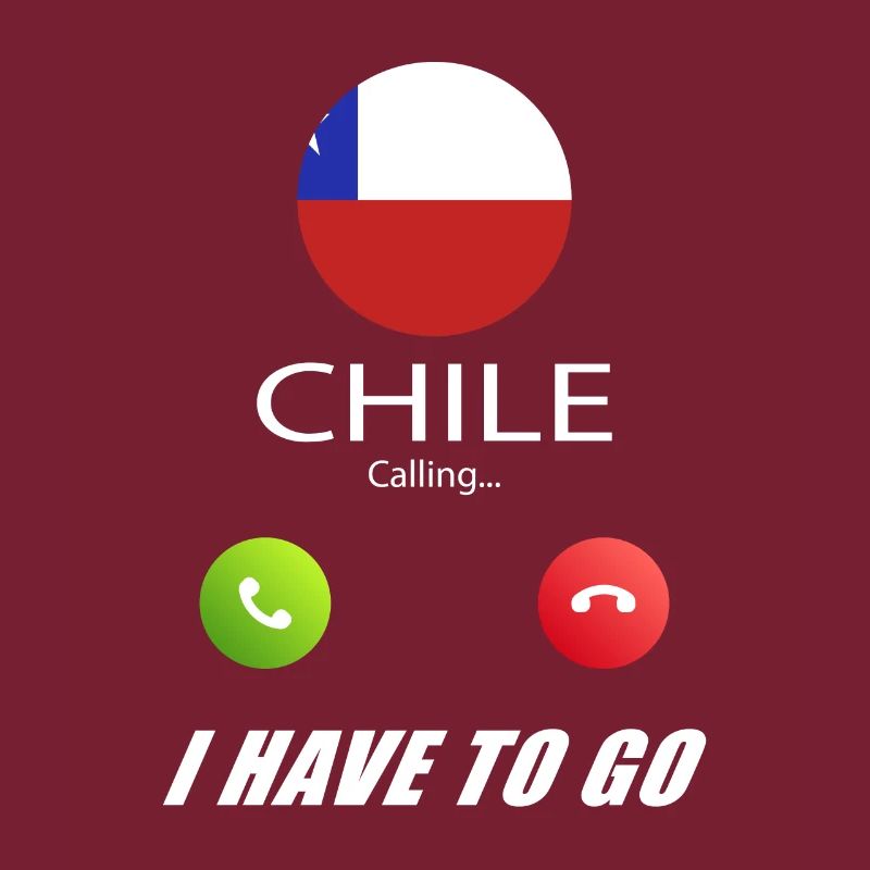 Chile calls lusiger flags saying